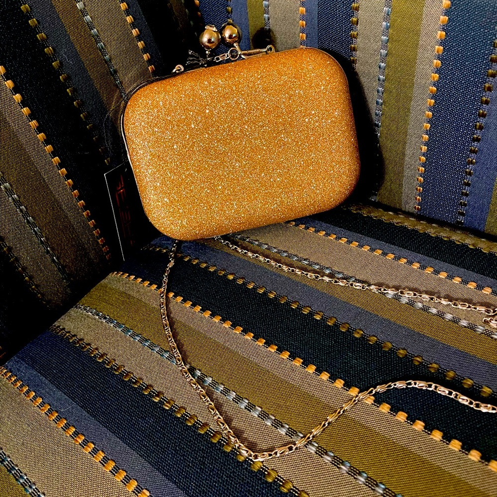 Beautiful evening bag